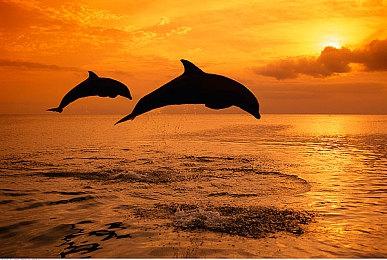 任天堂闹钟“Alarmo”已被用户破解 可显示自定义图像